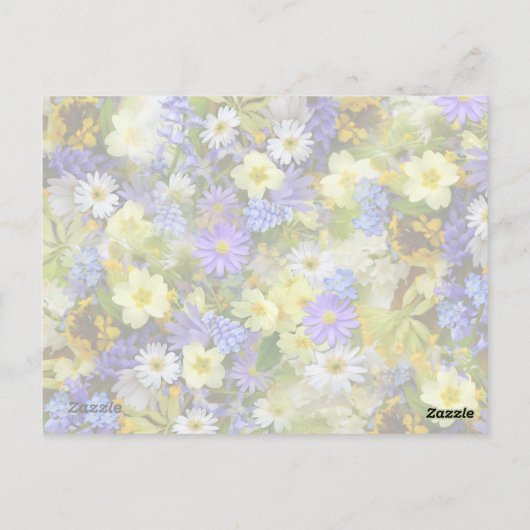 Hübsche Frühlingsblumen Postkarte (Rückseite)