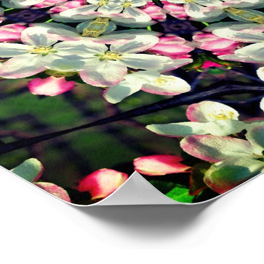 Hübsche Frühlingsblüten Blume Abstrakte Kunst Poster (Ecke)