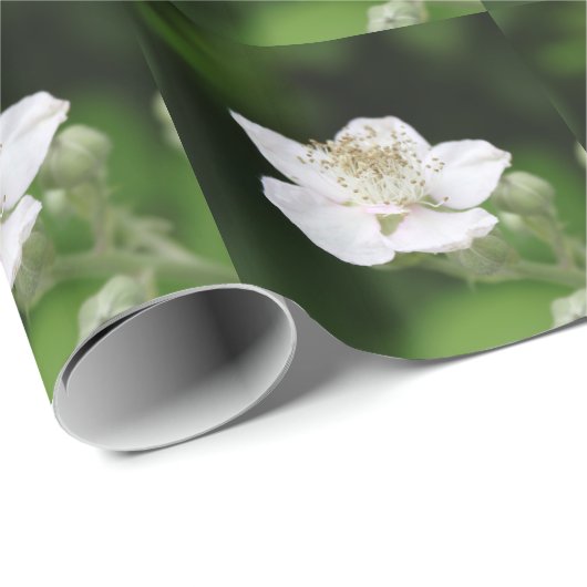 Hübsche Frühlingsfotografie Geschenkpapier (Rolleneckpunkt)