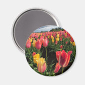 Hübsche Frühlingshuppen im Feld, Oregon Magnet (Vorderseite/Rückseite)