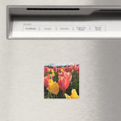 Hübsche Frühlingshuppen im Feld, Oregon Magnet (In Situ (Geschirrspüler))