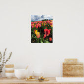 Hübsche Frühlingshuppen im Feld, Oregon Poster (Küche)