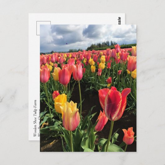 Hübsche Frühlingshuppen im Feld, Oregon Postkarte (Vorne/Hinten)