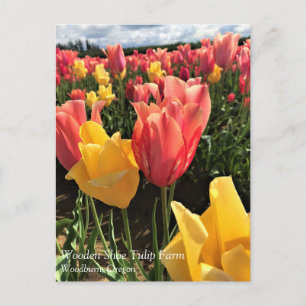Hübsche Frühlingshuppen im Feld, Oregon Postkarte