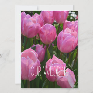 Hübsche Frühlingspinke Tulpe Blume Christlich Hoch Einladung