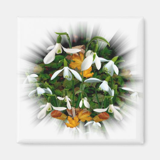 Hübsche Frühlingssnowdrops Magnet (Vorne)