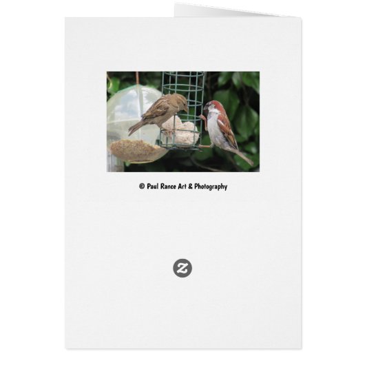 Hübsche Geburtstagskarte (Hinten)