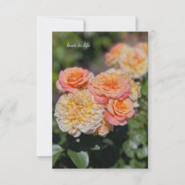 Hübsche Gelb- und Rosenrosen Mitteilungskarte