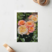 Hübsche Gelb- und Rosenrosen Mitteilungskarte (Vorderseite/Rückseite Beispiel)