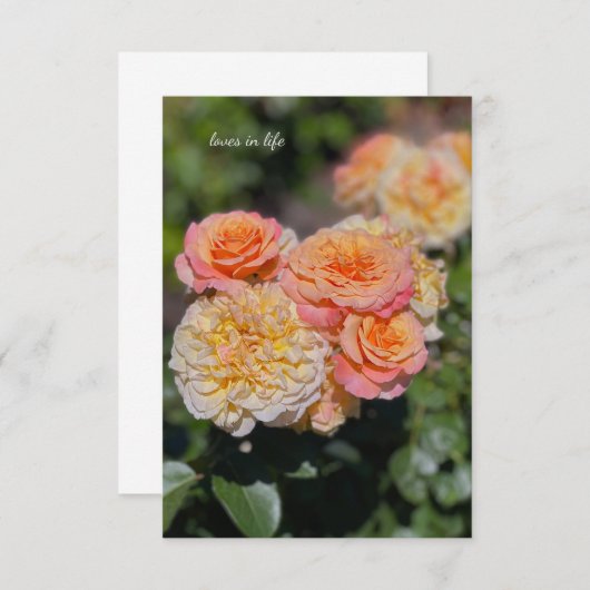 Hübsche Gelb- und Rosenrosen Mitteilungskarte (Vorne/Hinten)