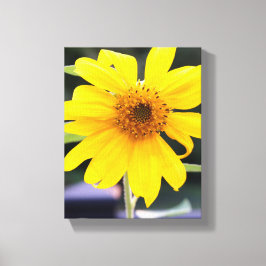 Hübsche Gelbblüte Nah-up Leinwanddruck