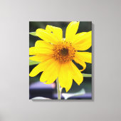 Hübsche Gelbblüte Nah-up Leinwanddruck (Vorderseite)