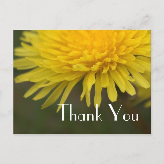 Hübsche gelbe Blume Lüster danke Postkarte (Vorderseite)