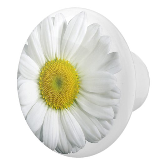 Hübsche Gelbe Daisy Keramikknauf (Rechts)