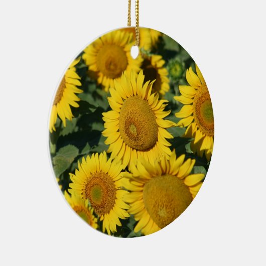 Hübsche gelbe keramikornament (Rechts)