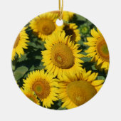 Hübsche gelbe keramikornament (Vorne)