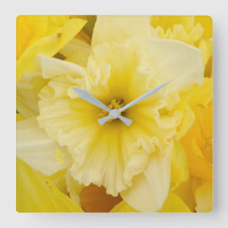 Hübsche gelbe Narzissen-Blumen Quadratische Wanduhr