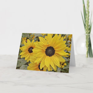 Hübsche Gelbe Sonnenblumen Art Note Card Karte