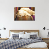 Hübsche, gelbe Tabi Katze auf einem Sofa. Leinwanddruck (Insitu (Schlafzimmer))