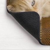 Hübsche, gelbe Tabi Katze auf einem Sofa. Mousepad (Ecke)