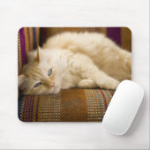 Hübsche, gelbe Tabi Katze auf einem Sofa. Mousepad (Mit Mouse)