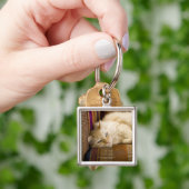 Hübsche gelbe tabi Katze, die auf Couch legt Schlüsselanhänger (Hand)