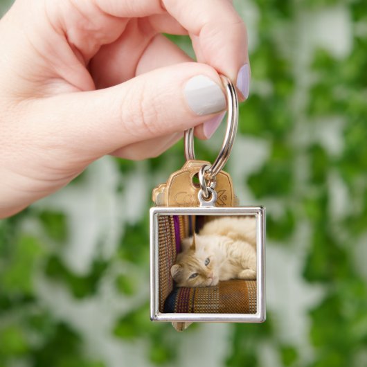 Hübsche gelbe tabi Katze, die auf Couch legt Schlüsselanhänger (Hand)