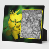 Hübsche gelbe Wildblumen ergänzen Ihr eigenes Foto Fotoplatte (Seite)