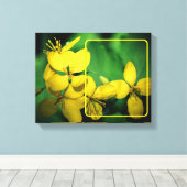 Hübsche gelbe Wildblumen kreieren Ihr eigenes Foto Leinwanddruck (Insitu (Holzboden))