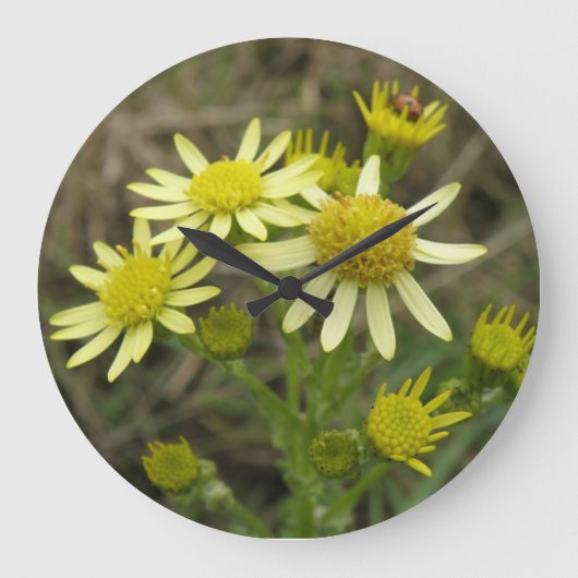 Hübsche gelbe Wildblumen Uhr (Vorderseite)