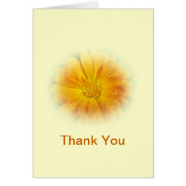 hübsche Gelbfärbung Blume