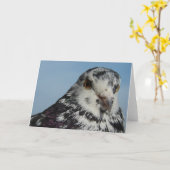 Hübsche Gepunktete Taube Karte (Gelbe Blume)