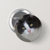 Hübsche graue und weiße Katze Button (Vorne & Hinten)