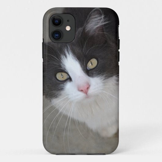 Hübsche graue und weiße Katze Case-Mate iPhone Hülle (Rückseite)