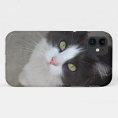 Hübsche graue und weiße Katze Case-Mate iPhone Hülle (Rückseite (Horizontal))