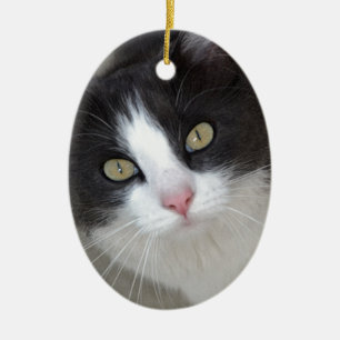 Hübsche graue und weiße Katze Keramikornament