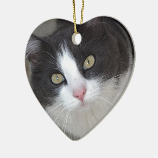 Hübsche graue und weiße Katze Keramikornament (Links)