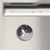 Hübsche graue und weiße Katze Magnet (In Situ (Geschirrspüler))