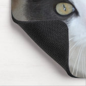 Hübsche graue und weiße Katze Mousepad (Ecke)