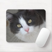 Hübsche graue und weiße Katze Mousepad (Mit Mouse)