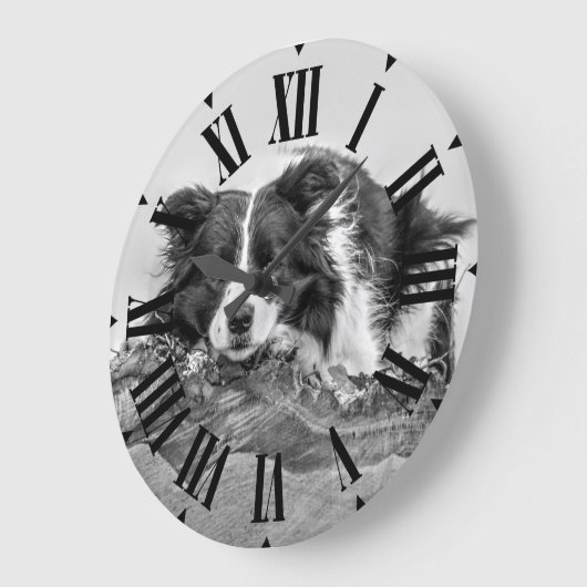 Hübsche Grenz Collie Dog Große Wanduhr (Winkel)