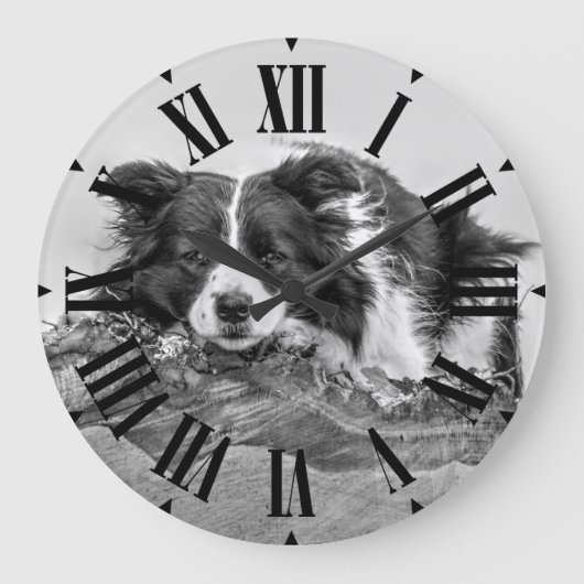 Hübsche Grenz Collie Dog Große Wanduhr (Vorderseite)