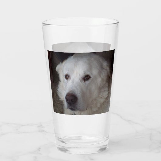 Hübsche große Pyrenäen Glas (Rückseite)