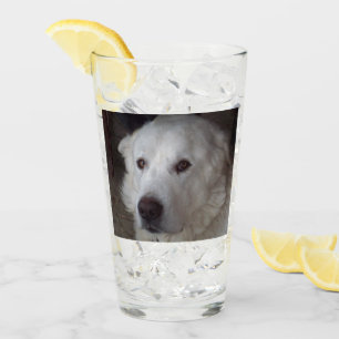 Hübsche große Pyrenäen Glas
