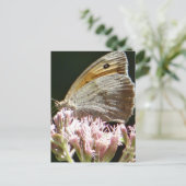 Hübsche große Schmetterlingskarte Postkarte (Stehend Vorderseite)