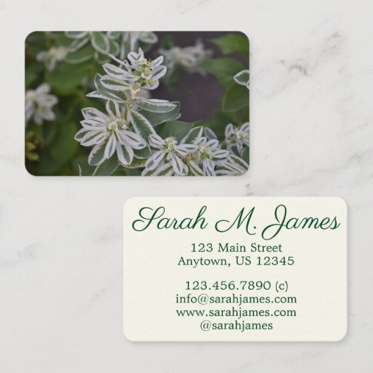 Hübsche Grüne Blume Blumengarten Visitenkarte (Vorne/Hinten)
