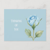Hübsche hellblaue Rosenblume Postkarte (Vorderseite)