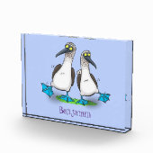 Hübsche, hellblaufüßige Boobies tanzen Cartoon Fotoblock (Rechts)