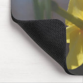 Hübsche, hellgelbe Daffodialfarben-Blume Mousepad (Ecke)