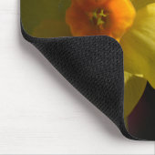 Hübsche, hellgelbe Daffodialfarben-Blume Mousepad (Ecke)